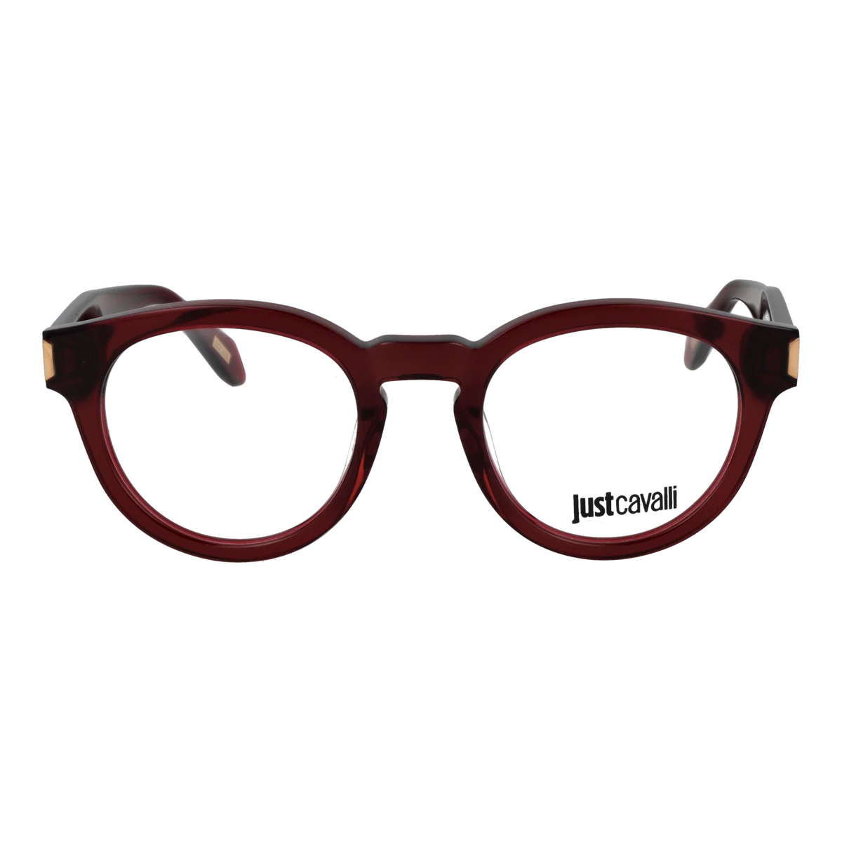 Just Cavalli glasses, Just Cavalli Optical Frames VJC016 0V64 50 – Burghley & Co (Image 2)