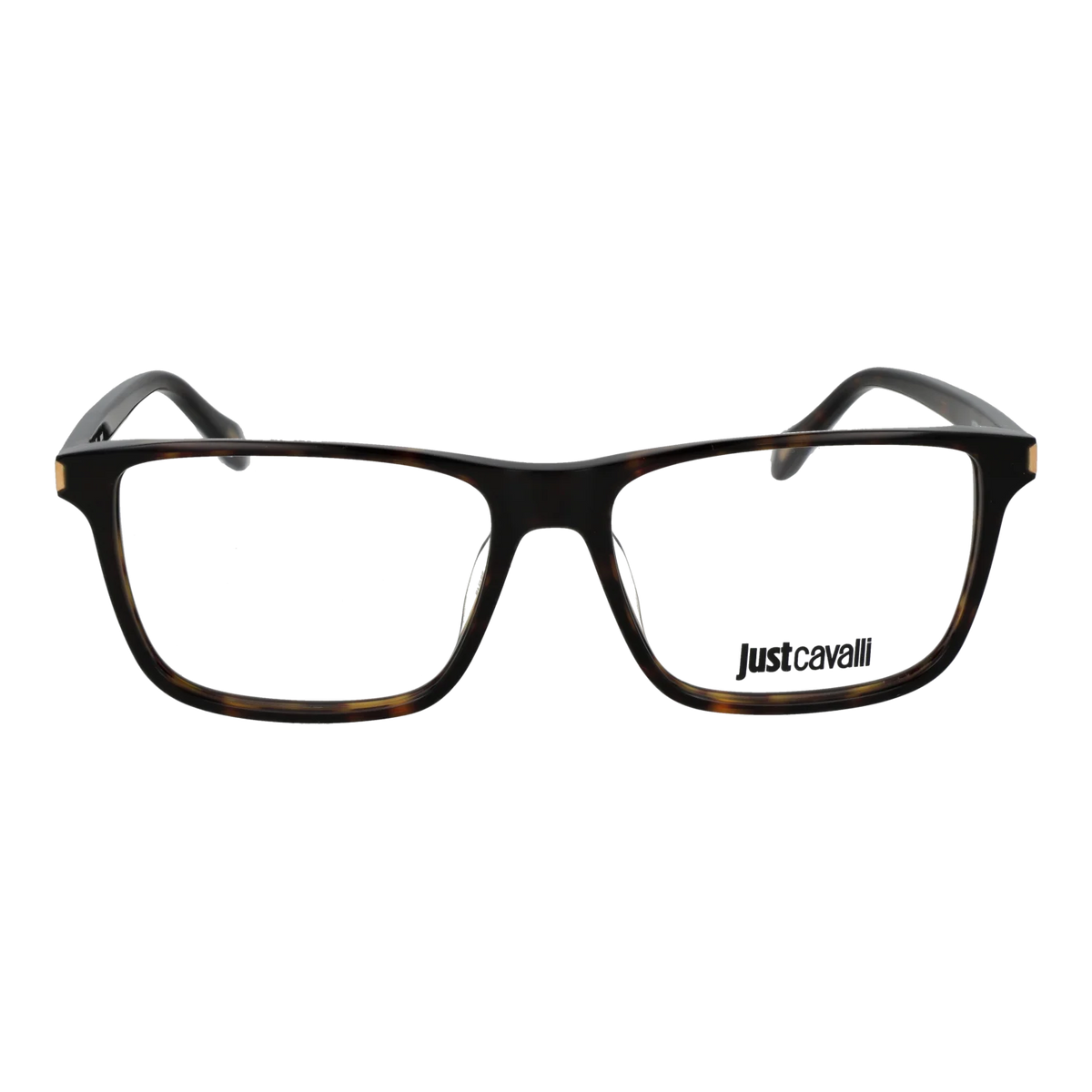 Just Cavalli Rectangle glasses, Plastic frame, Just Cavalli Optical Frames VJC050 0722 56 – Burghley & Co (Image 2)