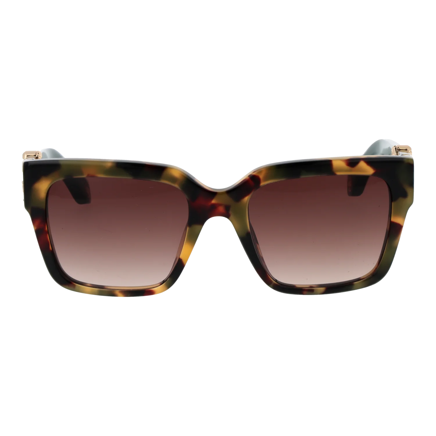 Roberto Cavalli sunglasses, Roberto Cavalli Sunglasses SRC040M 0AGG 54 – Burghley & Co (Image 2)