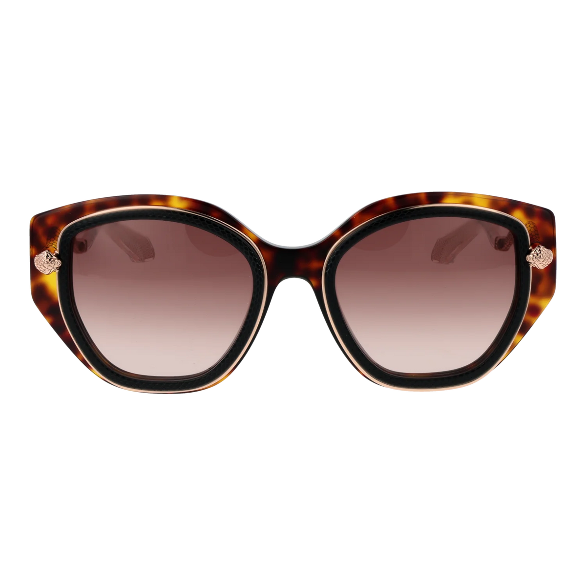 Roberto Cavalli sunglasses, Roberto Cavalli Sunglasses SRC096M 09TC 52 – Burghley & Co (Image 2)