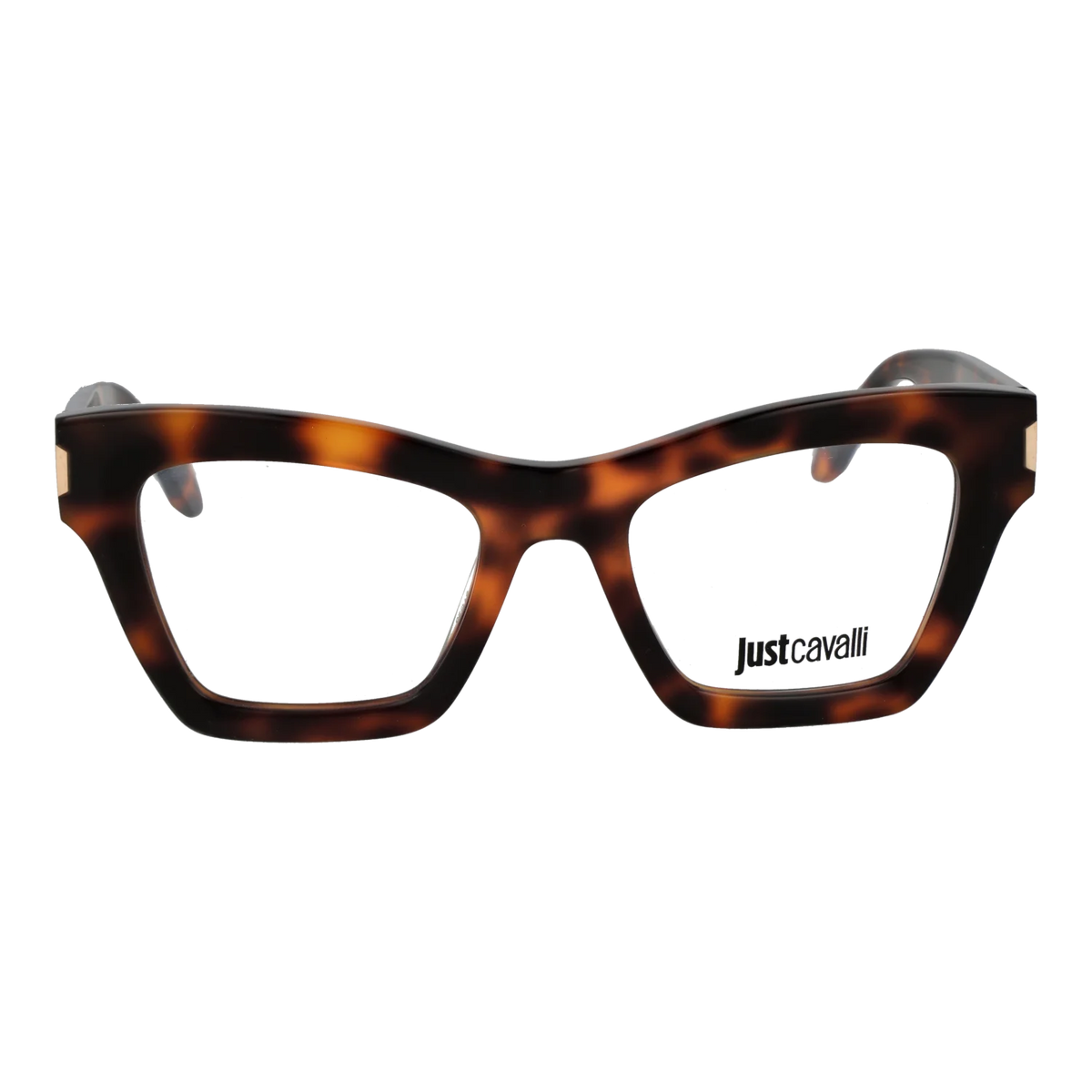 Just Cavalli glasses, Plastic frame, Just Cavalli Optical Frames VJC119 09AJ 51 – Burghley & Co (Image 2)