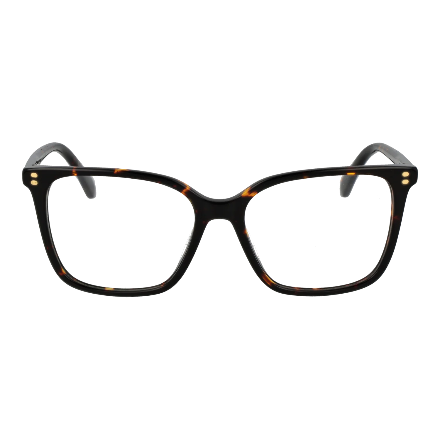 Polaroid Square glasses, Acetate frame, Polaroid Optical Frames PLD D606 5308617 – Burghley & Co (Image 2)