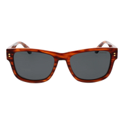 pld-6252-s-x-55l9gm9_1.png