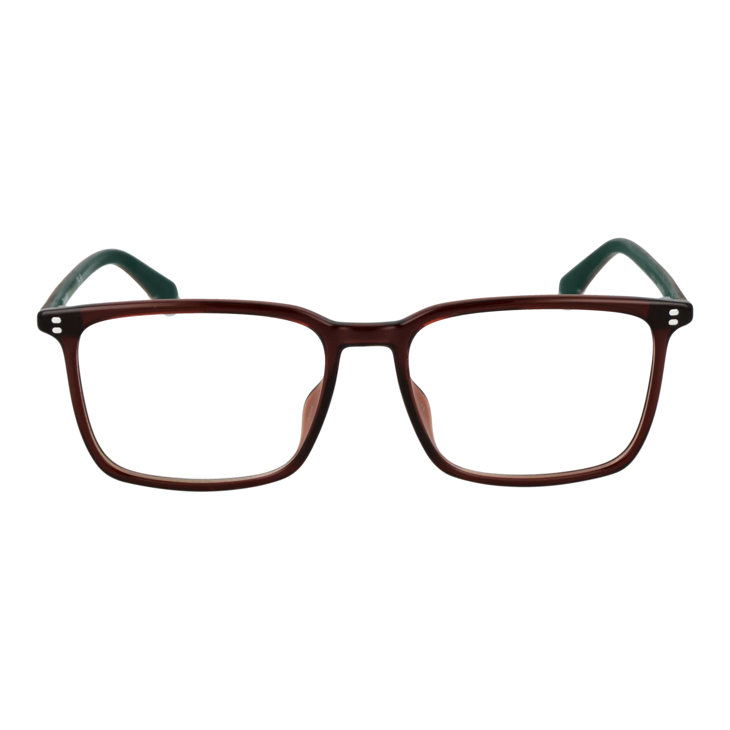 Polaroid Rectangle glasses, Polaroid Optical Frames PLD D615 5409Q16 – Burghley & Co (Image 2)