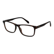 Polaroid glasses, Polaroid Optical Frames PLD D598 5508616 – Burghley & Co (Image 1)