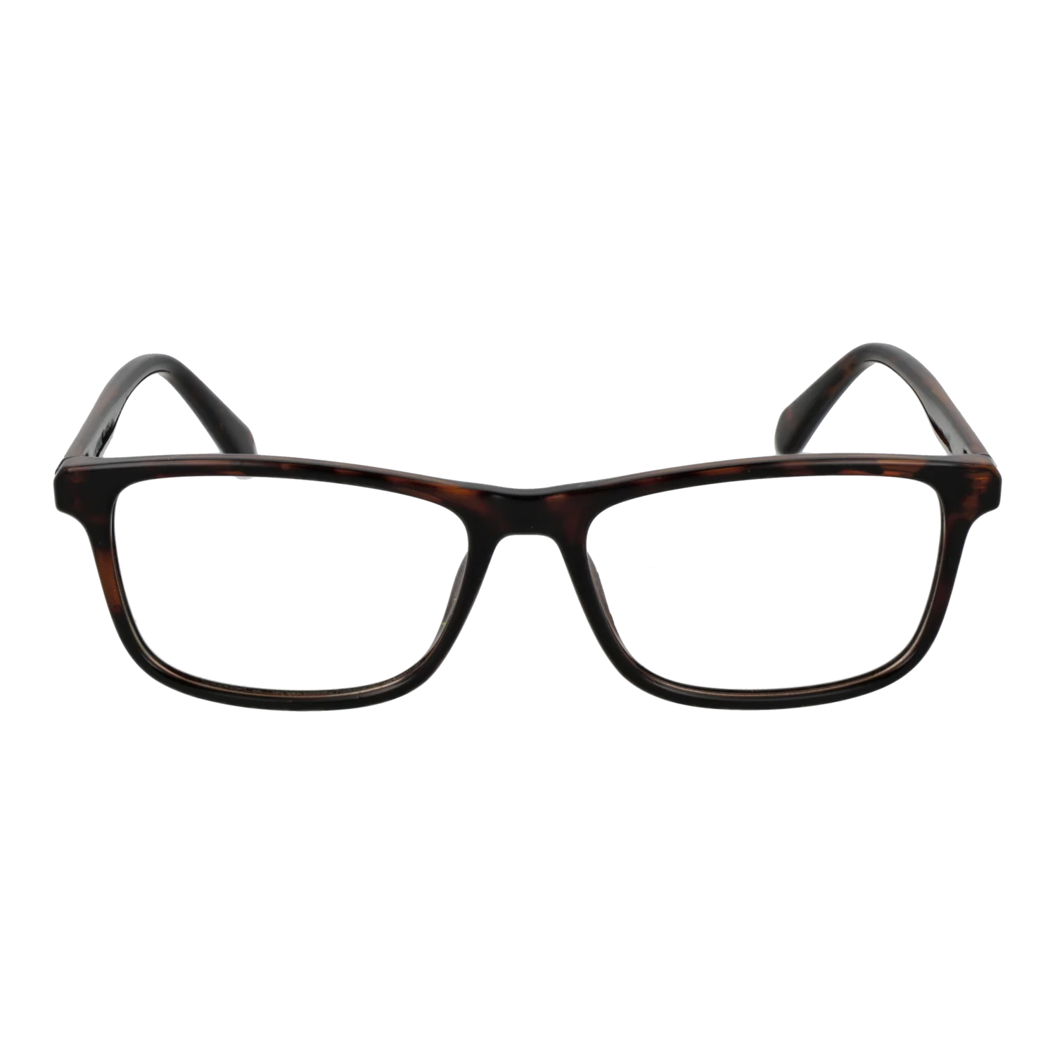 Polaroid glasses, Polaroid Optical Frames PLD D598 5508616 – Burghley & Co (Image 2)