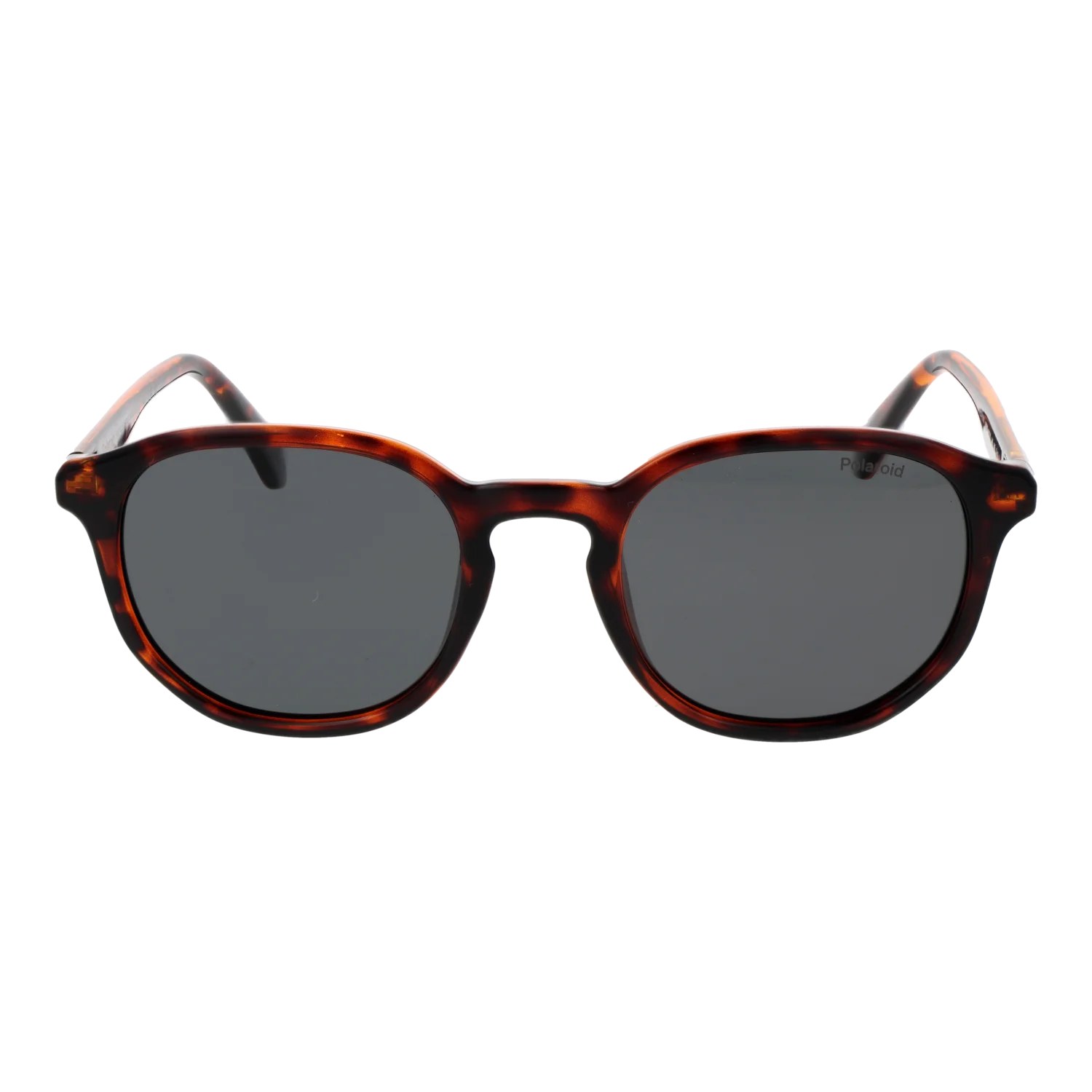 Polaroid sunglasses, Polaroid Sunglasses PLD 4195/S 086M9 51 – Burghley & Co (Image 2)