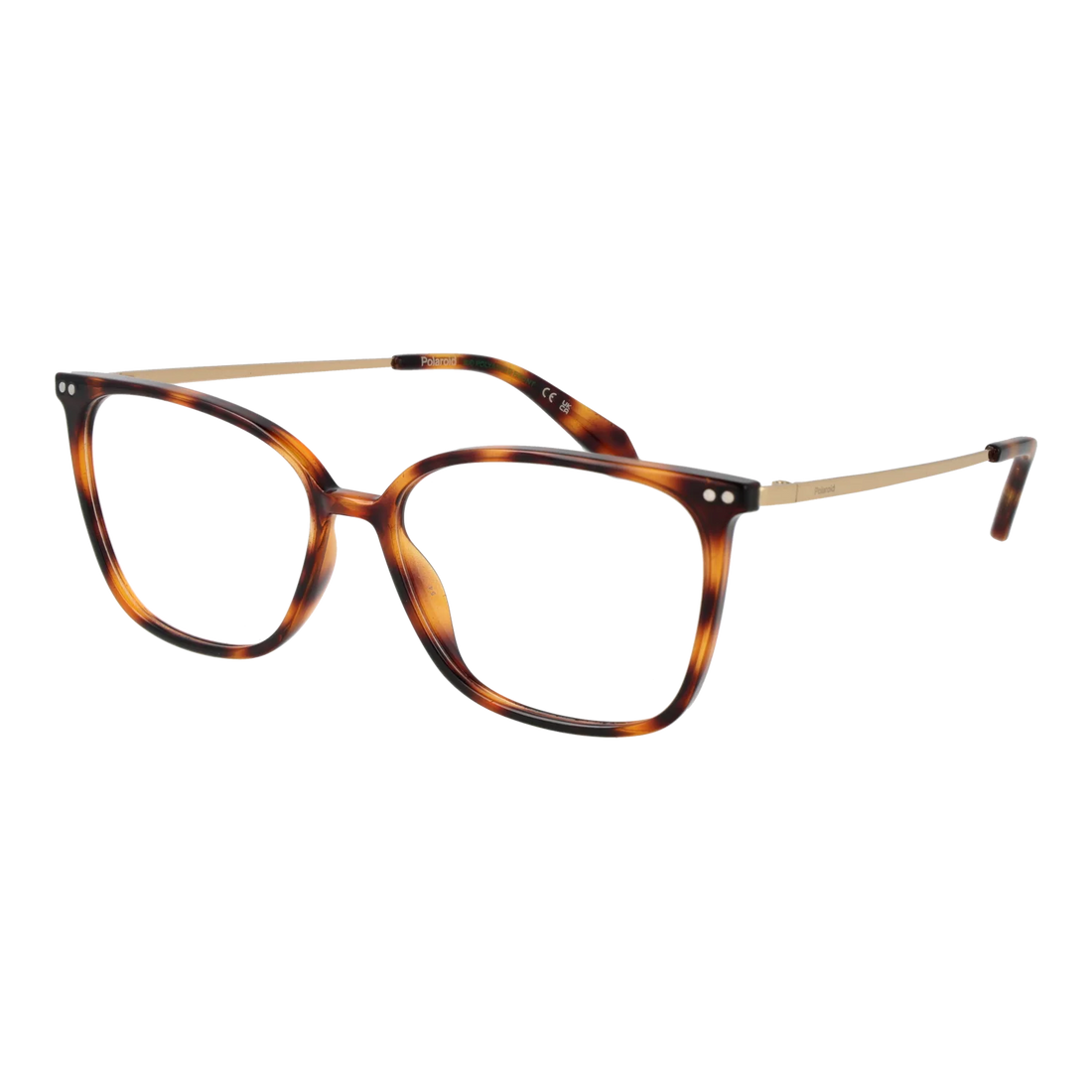 Polaroid Square glasses, Titanium frame, Polaroid Optical Frames PLD D616 5508615 Titan – Burghley & Co (Image 1)