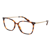 Polaroid Square glasses, Titanium frame, Polaroid Optical Frames PLD D616 5508615 Titan – Burghley & Co (Image 1)