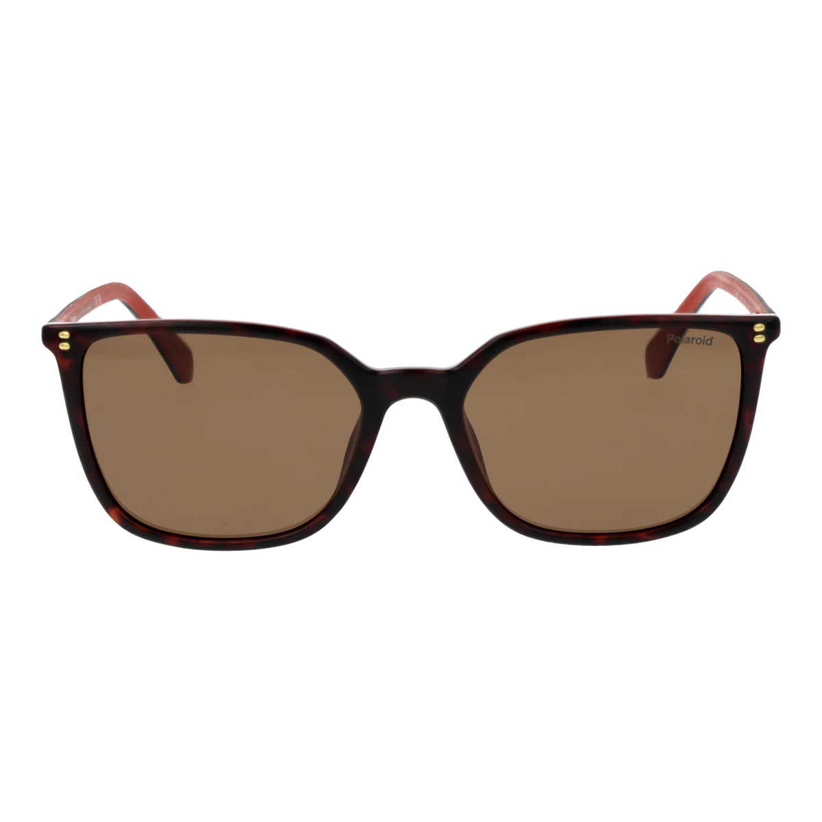 Polaroid Square sunglasses, Polaroid Sunglasses PLD 4209/S/X 086SP 56 – Burghley & Co (Image 2)