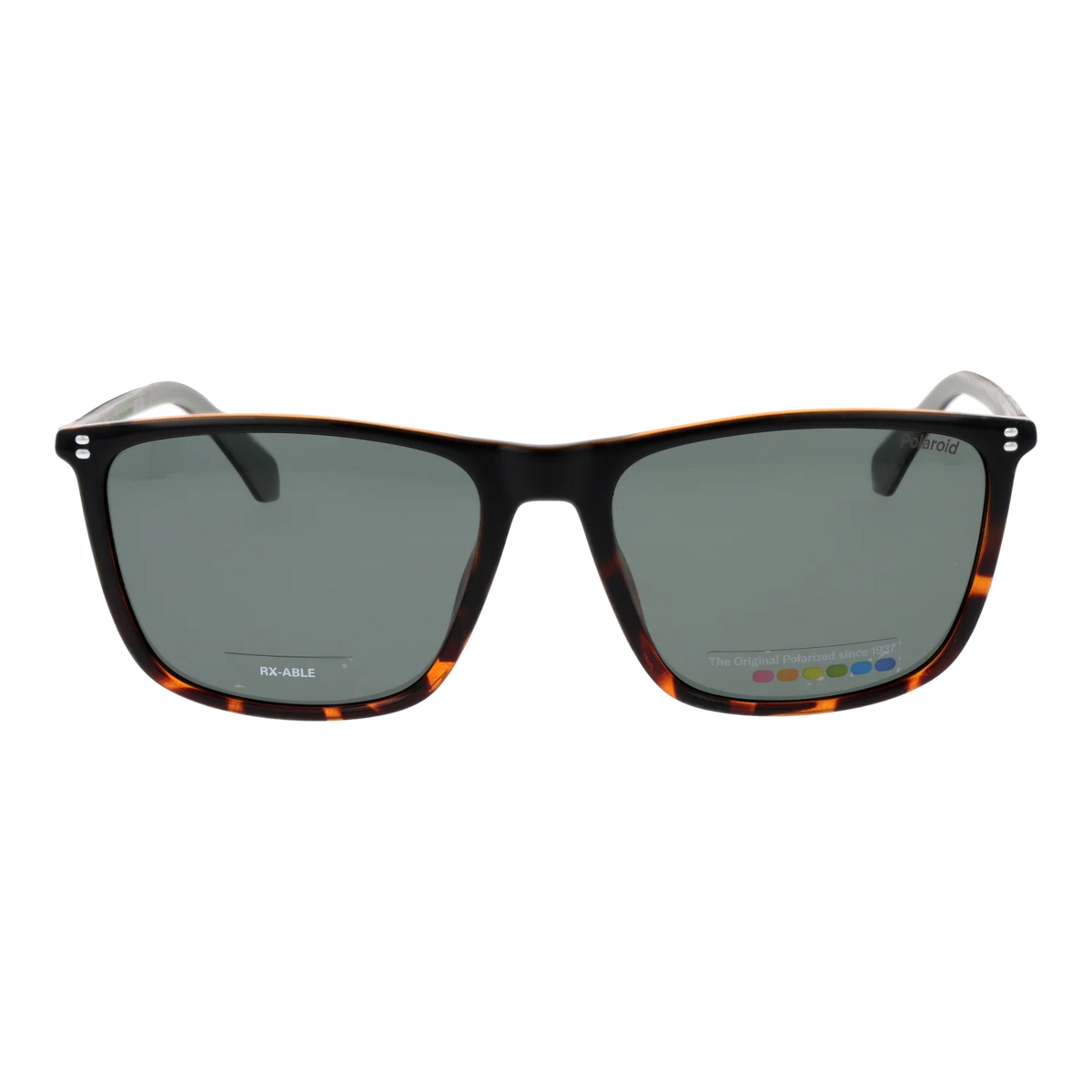 Polaroid Square sunglasses, Polaroid Sunglasses PLD 4210/S/X WR7UC 59 – Burghley & Co (Image 2)