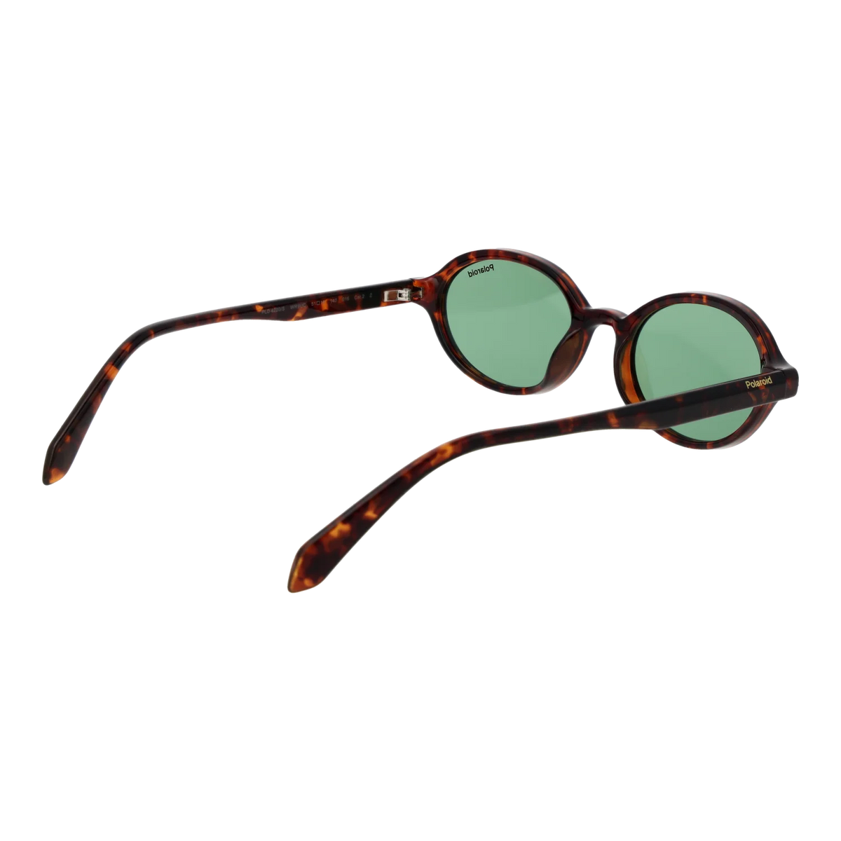 Polaroid Oval sunglasses, Plastic frame, Polaroid Sunglasses PLD 4220/S WR9UC 51 – Burghley & Co (Image 3)