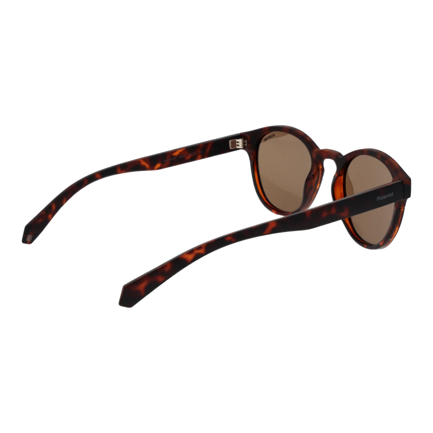 Polaroid Round sunglasses, Plastic frame, Polaroid Sunglasses PLD 6042/S 086SP 49 – Burghley & Co (Image 3)