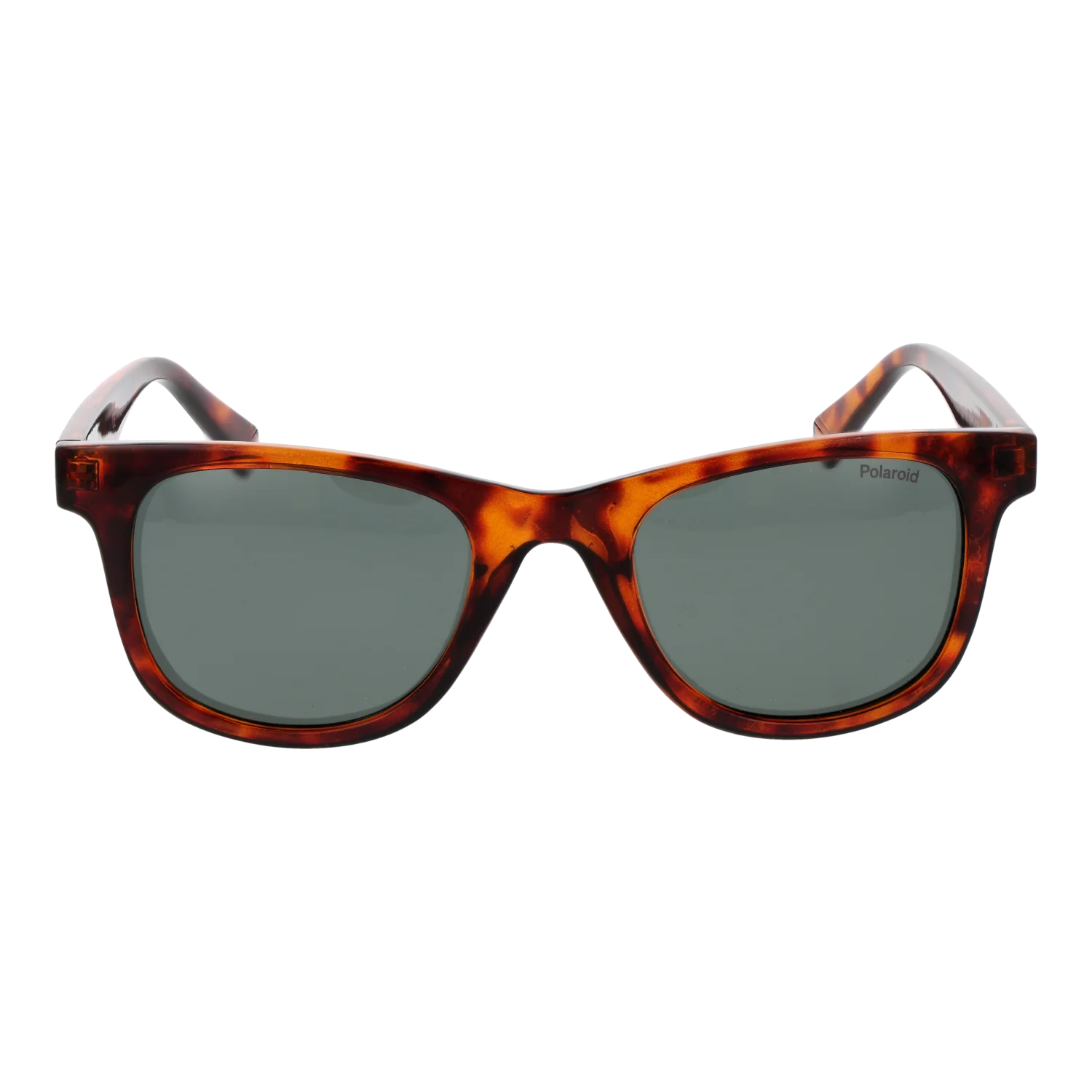 Polaroid sunglasses, Polaroid Sunglasses PLD 1016/S/NEW 086UC 50 – Burghley & Co (Image 2)