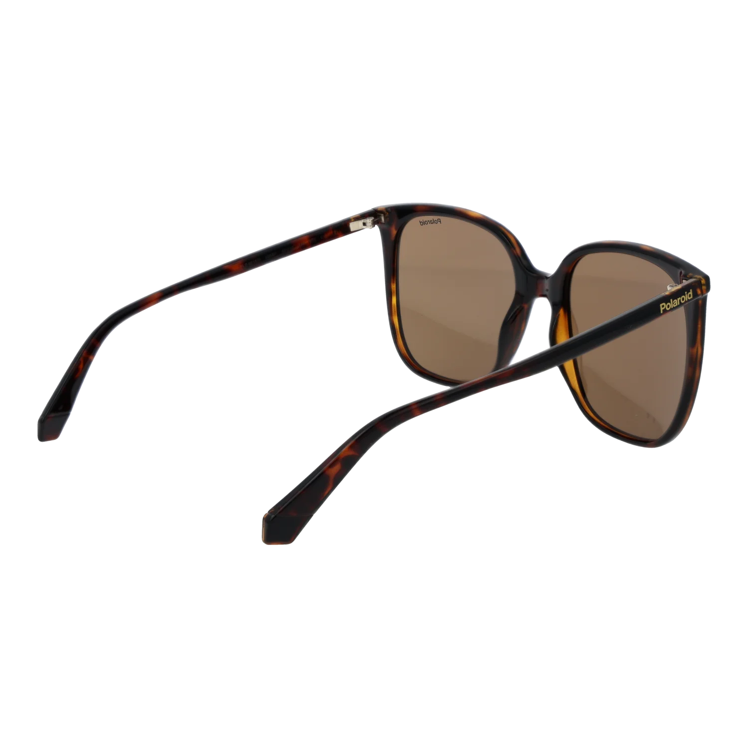 Polaroid Square sunglasses, Plastic frame, Polaroid Sunglasses PLD 6218/S 086SP 56 – Burghley & Co (Image 3)