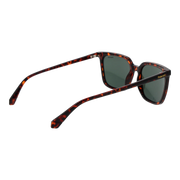 Polaroid sunglasses, Polaroid Sunglasses PLD 4163/S 55086UC – Burghley & Co (Image 3)