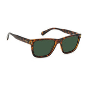 Polaroid sunglasses, Polaroid Sunglasses PLD 6186/S 086UC 54 – Burghley & Co (Image 3)