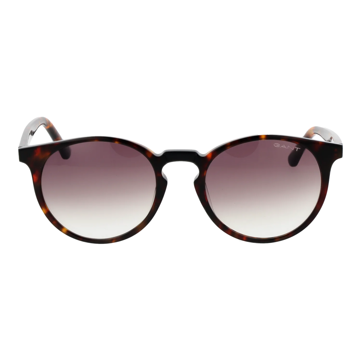 Gant Round sunglasses, Acetate frame, Gant Sunglasses GA7110 52P 52 – Burghley & Co (Image 2)