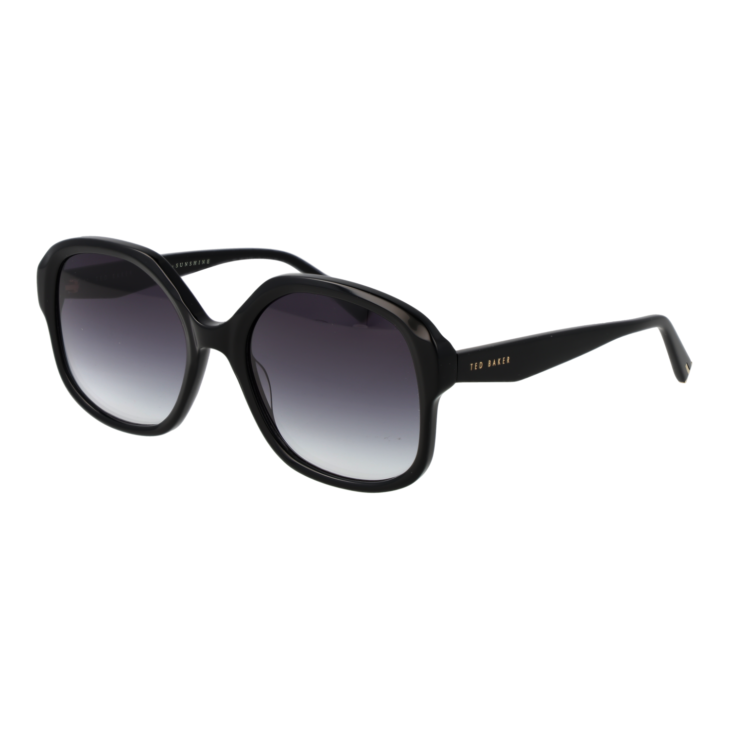 Ted Baker Sunglasses TB1685 001 55