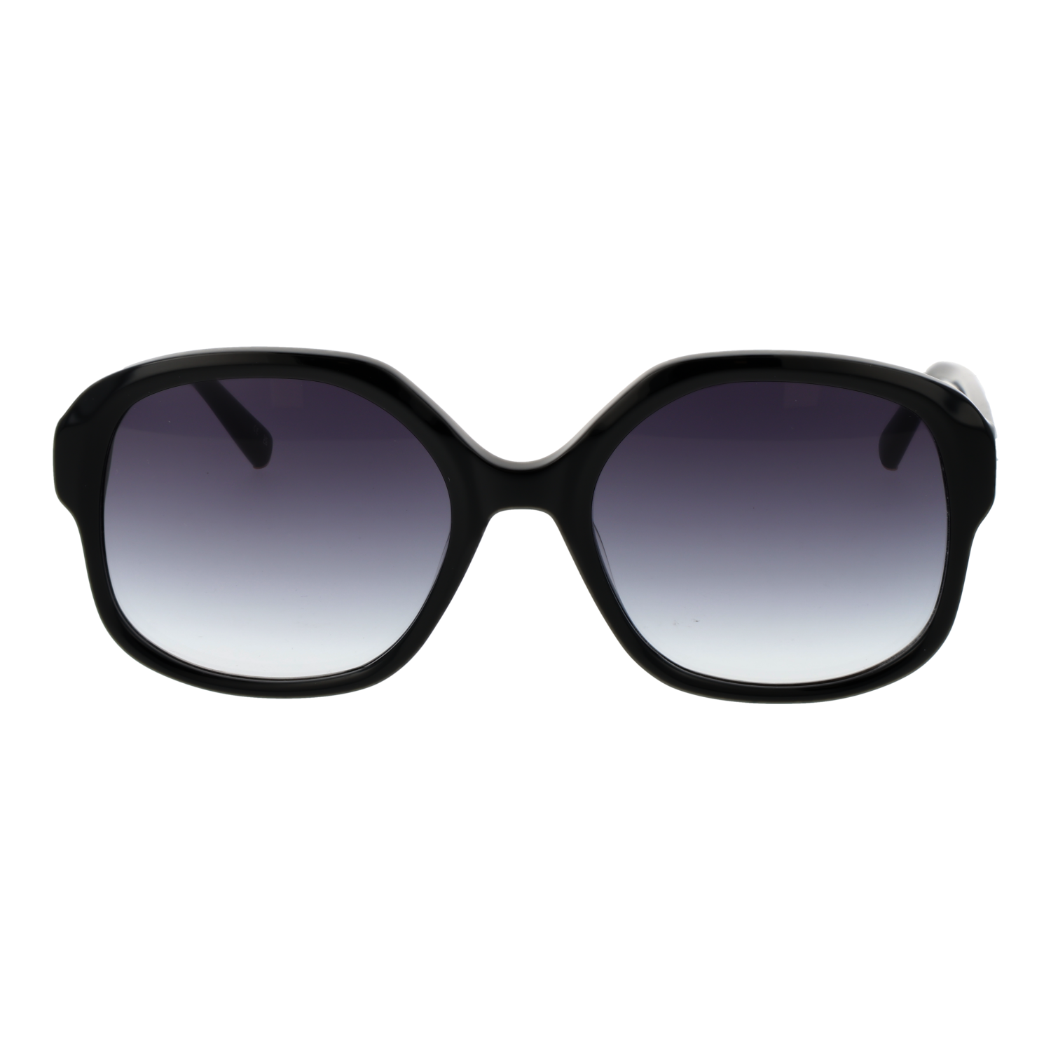 Ted Baker Sunglasses TB1685 001 55