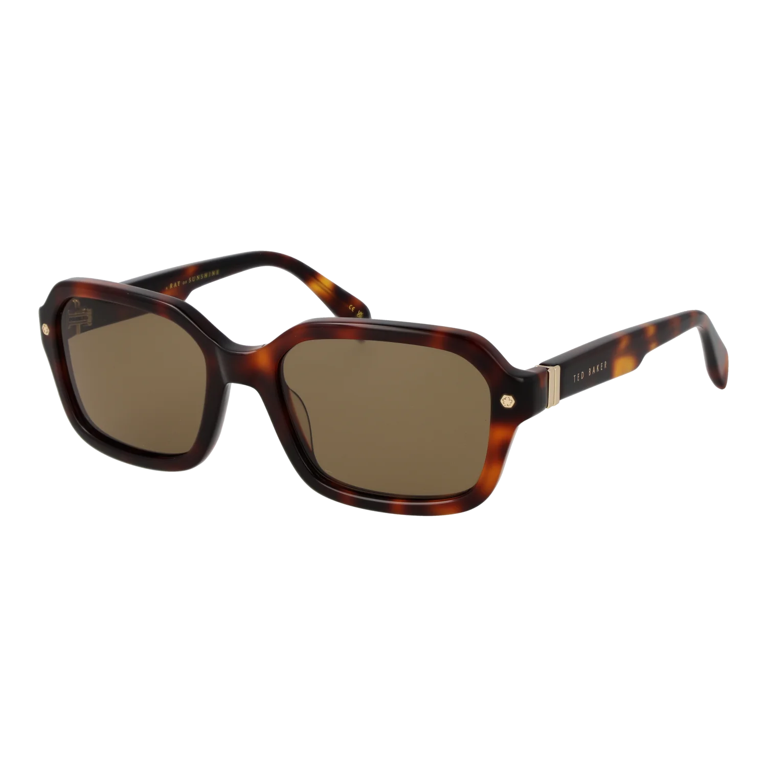 Ted Baker sunglasses, Ted Baker Sunglasses TB1697 101 55 – Burghley & Co (Image 1)