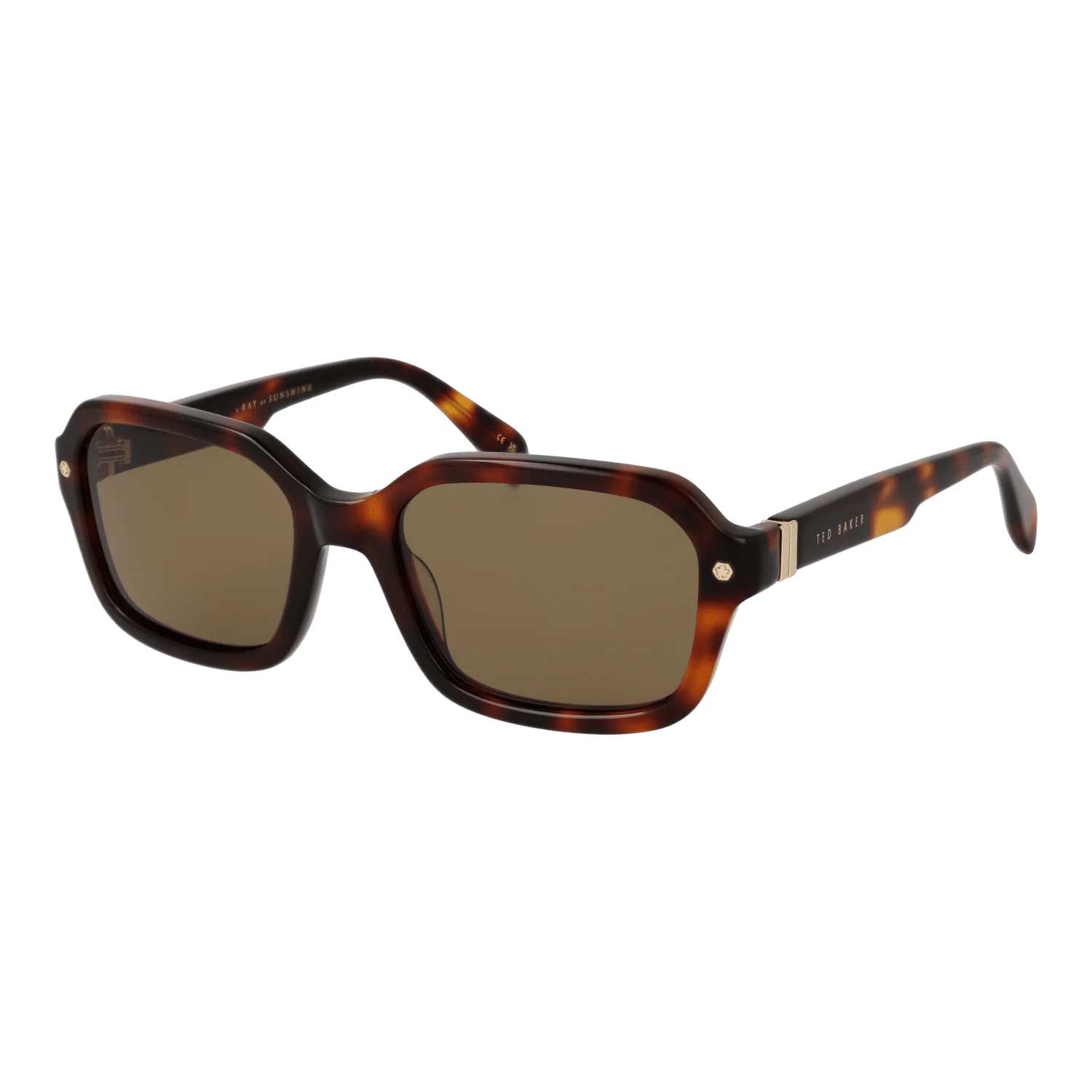 Ted Baker sunglasses, Ted Baker Sunglasses TB1697 101 55 – Burghley & Co (Image 1)