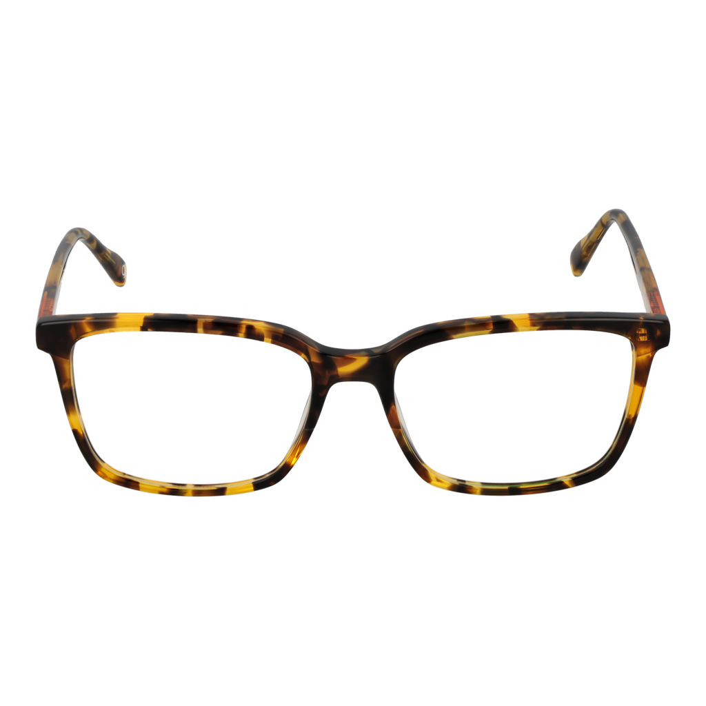 Benetton Optical Frame BEO109 103 55