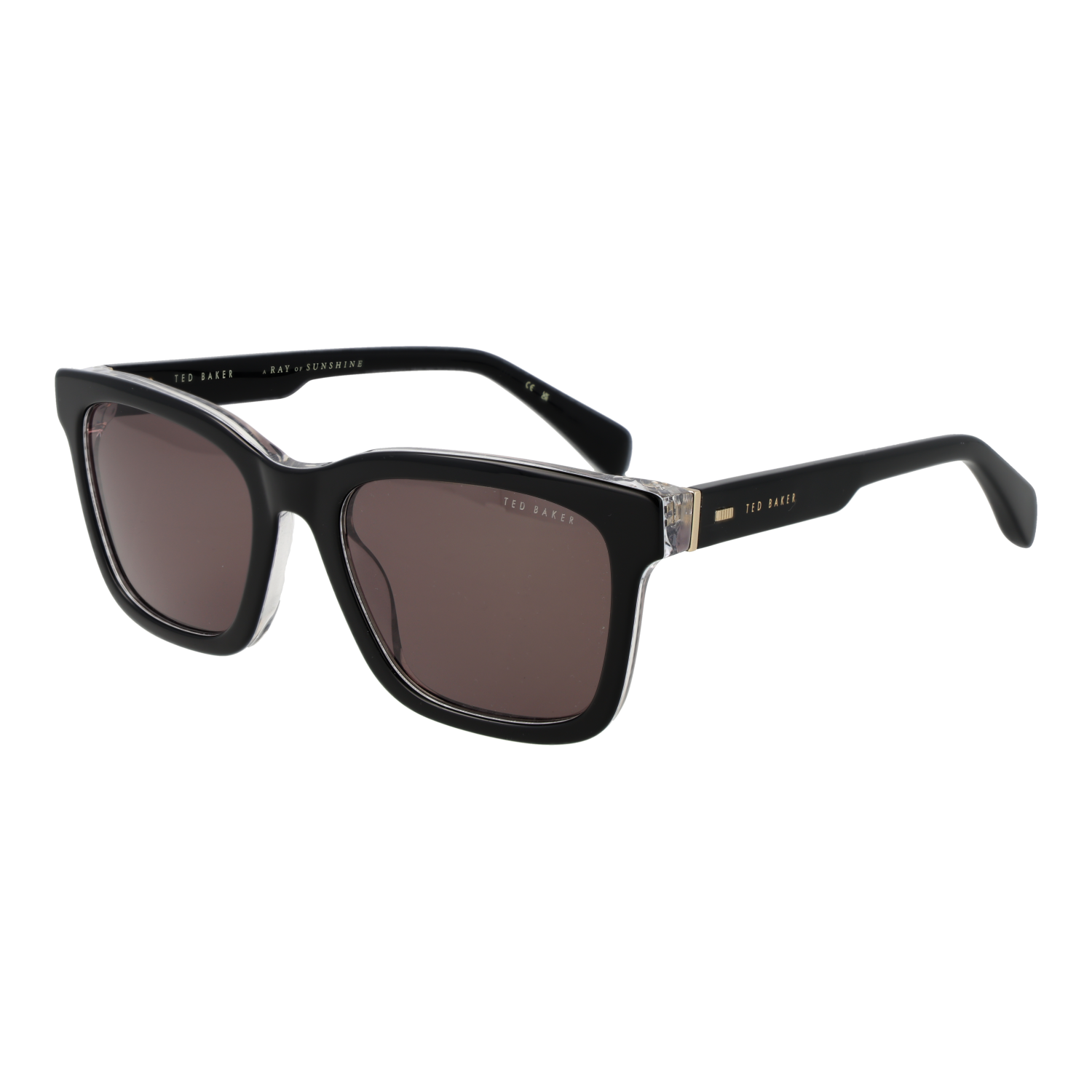 Ted Baker Sunglasses TB1722 001 55
