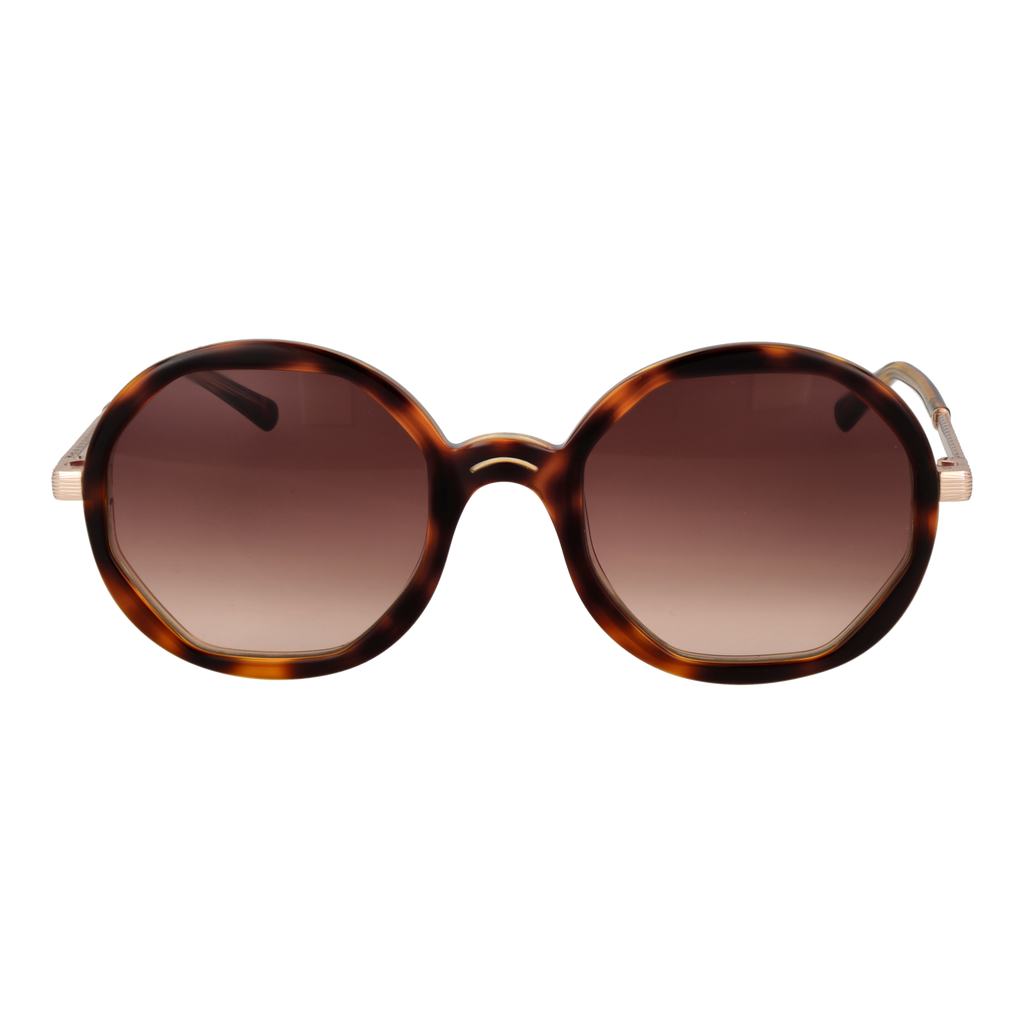 Sandro Sunglasses SD6042 170 53
