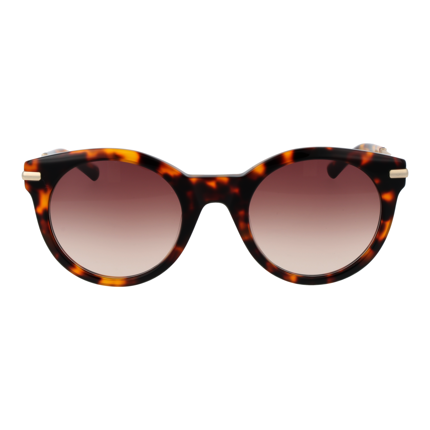 Sandro Sunglasses SD6049 128 51