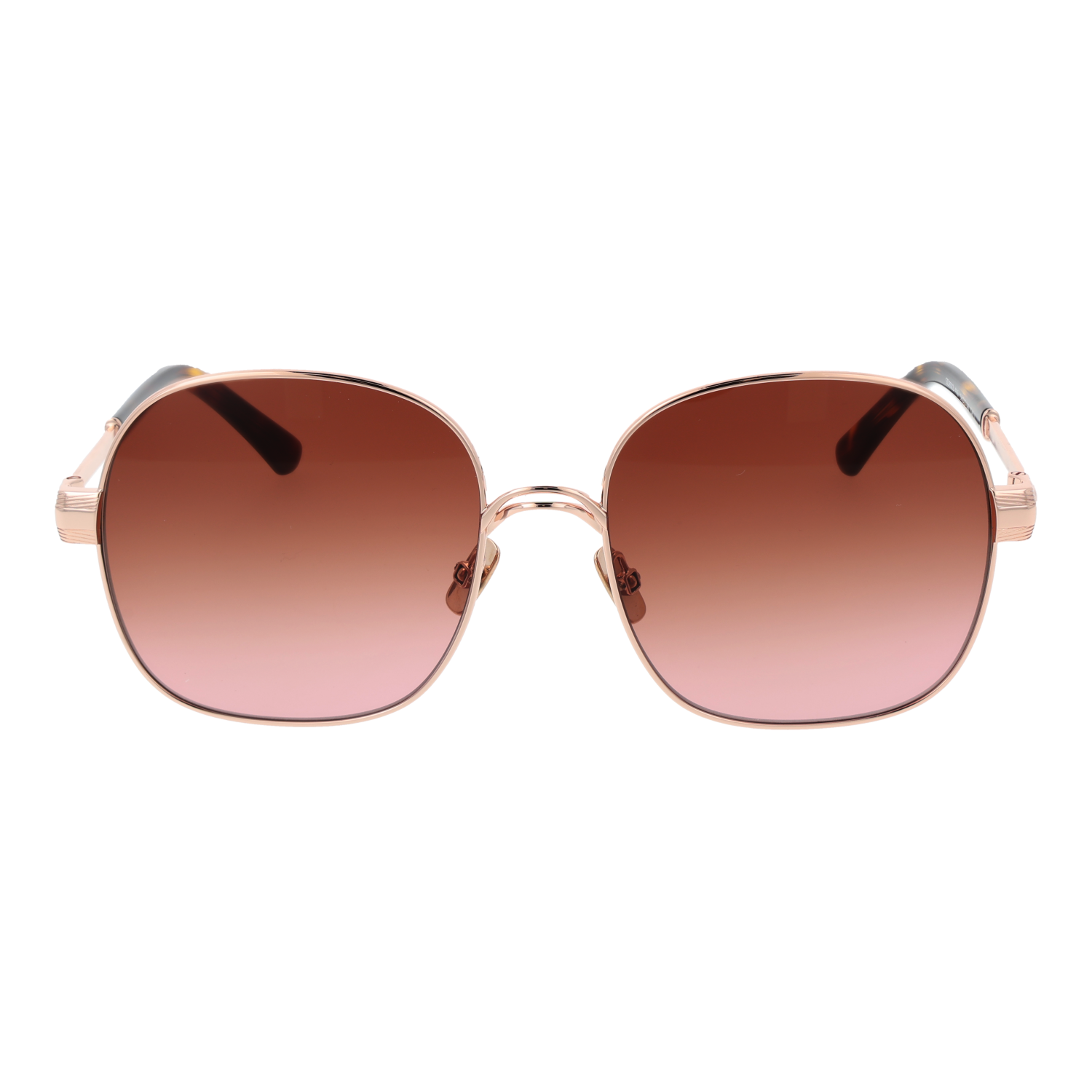 Sandro Sunglasses SD8022 406 56