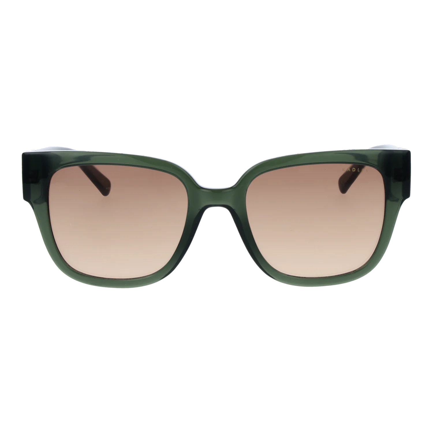 Radley sunglasses, Radley Sunglasses RDS-6556 107 54 – Burghley & Co (Image 2)