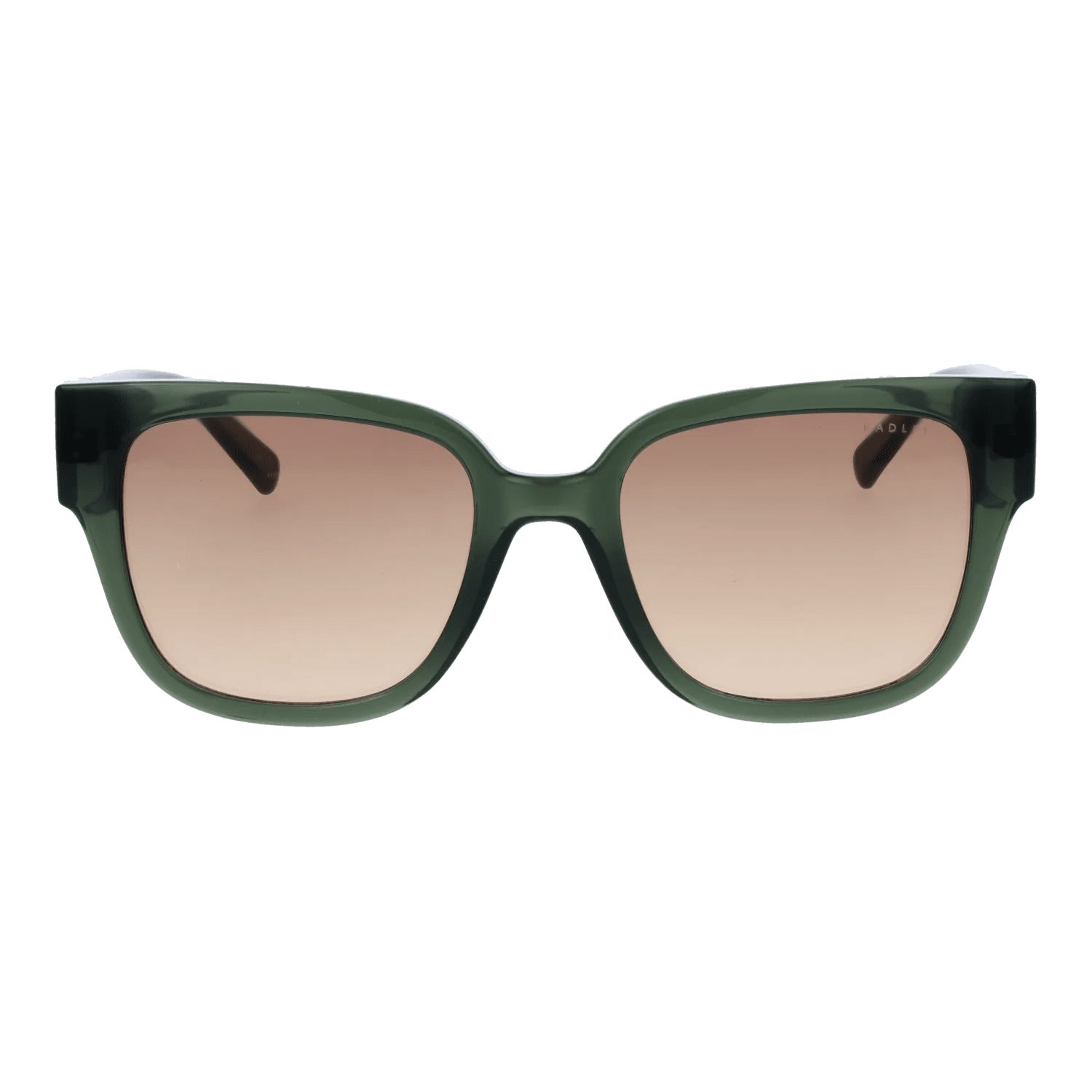 Radley sunglasses, Radley Sunglasses RDS-6556 107 54 – Burghley & Co (Image 2)