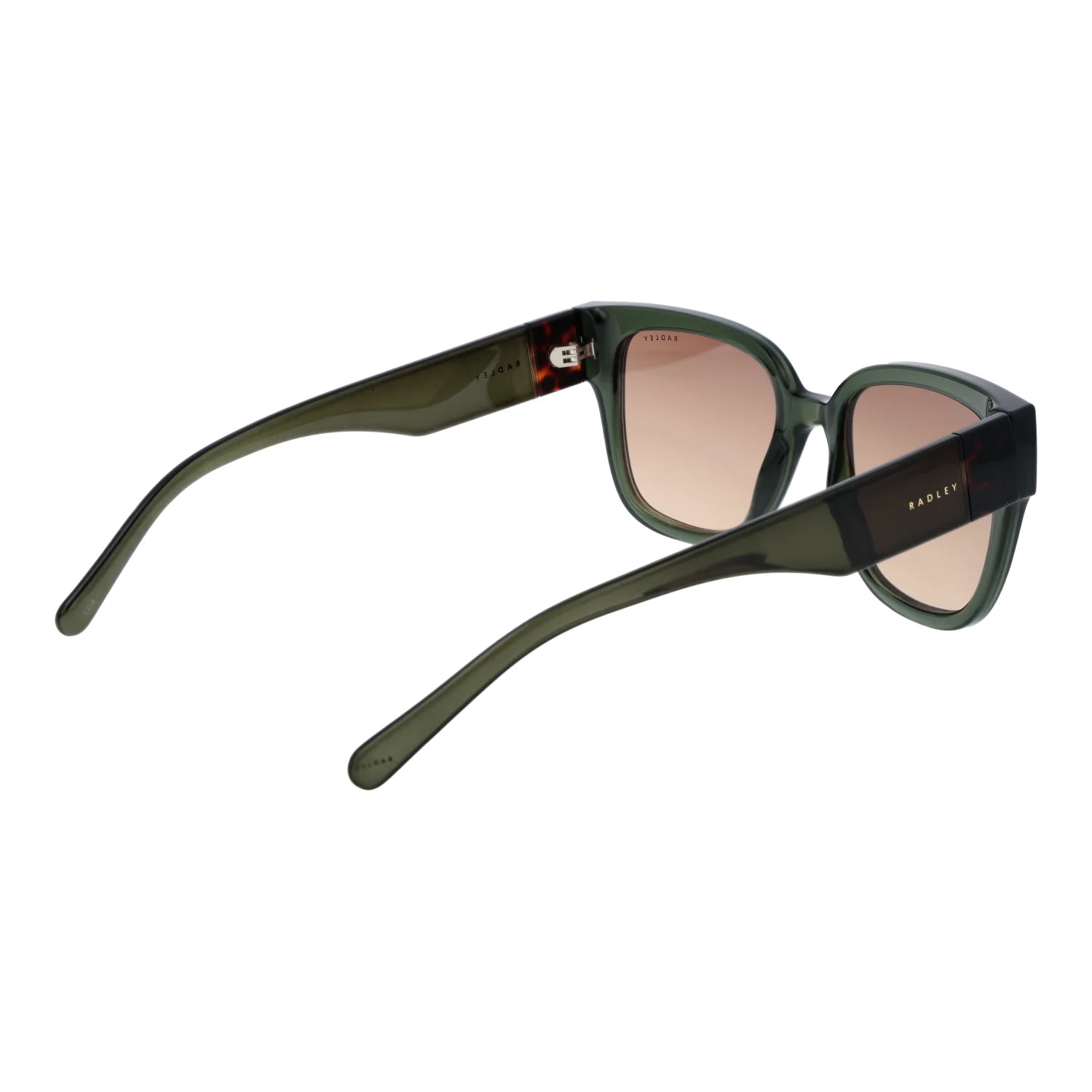 Radley sunglasses, Radley Sunglasses RDS-6556 107 54 – Burghley & Co (Image 3)