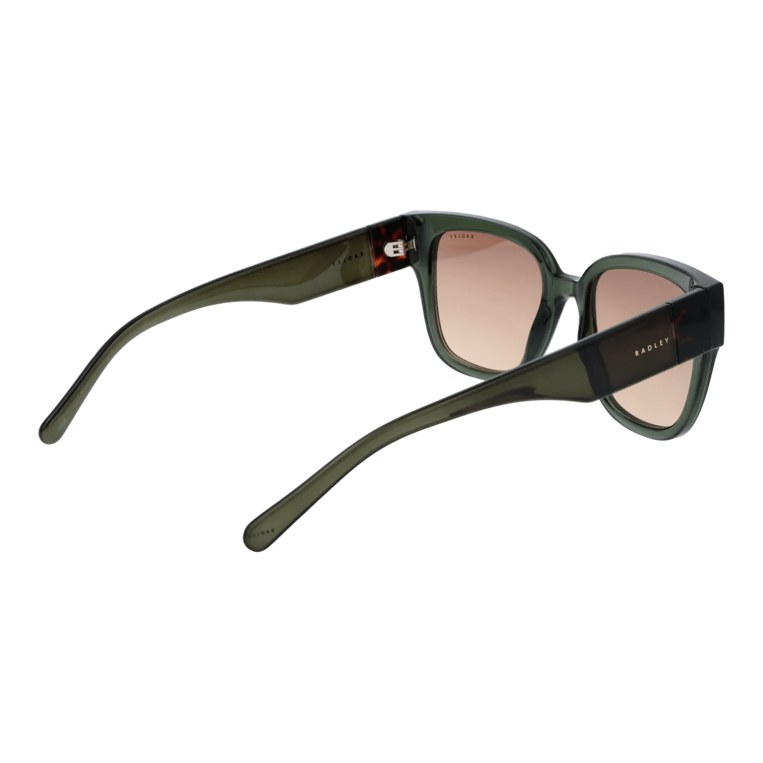 Radley sunglasses, Radley Sunglasses RDS-6556 107 54 – Burghley & Co (Image 3)