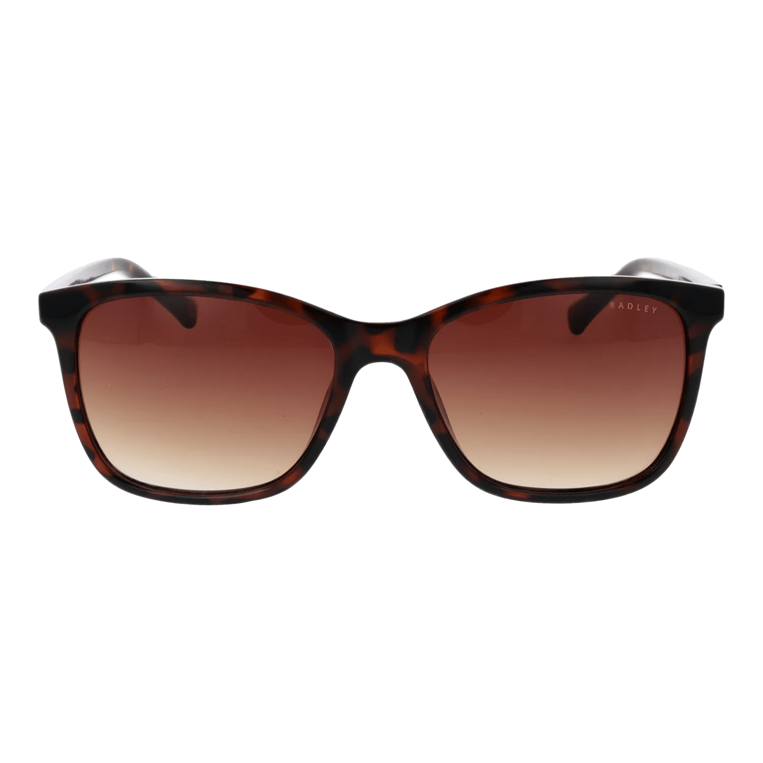 Radley sunglasses, Radley Sunglasses RDS-6563 102 55 – Burghley & Co (Image 2)