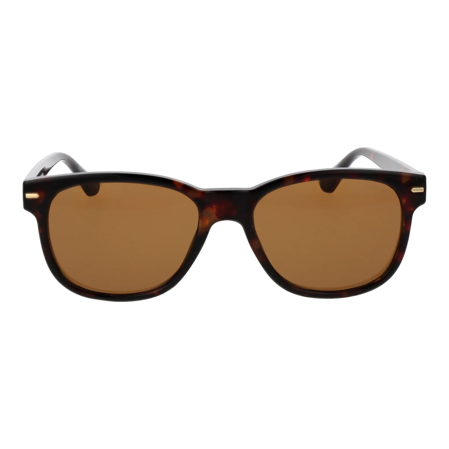 Barbour sunglasses, Barbour Sunglasses BAS 3025 102 55 – Burghley & Co (Image 2)