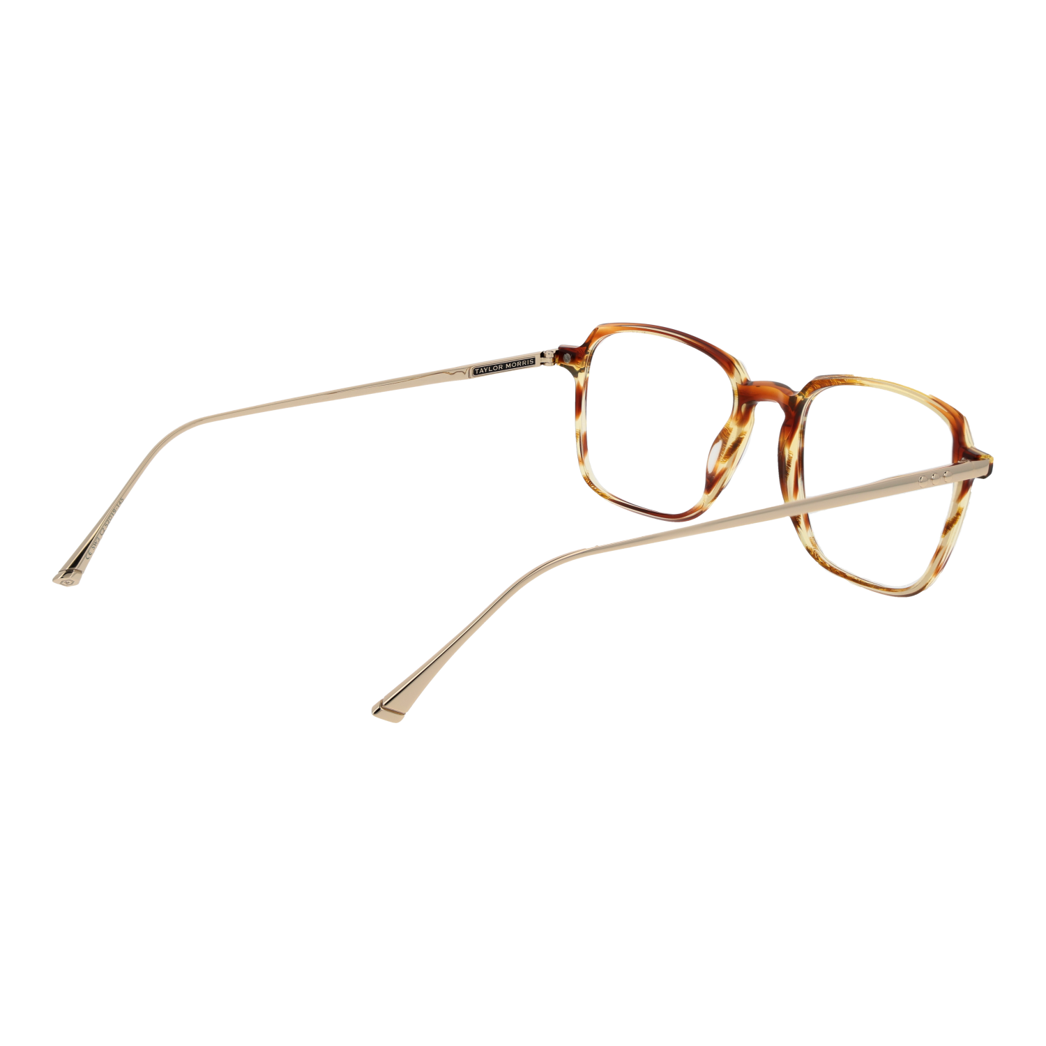 Taylor Morris Optical Frame SW3 C2 53