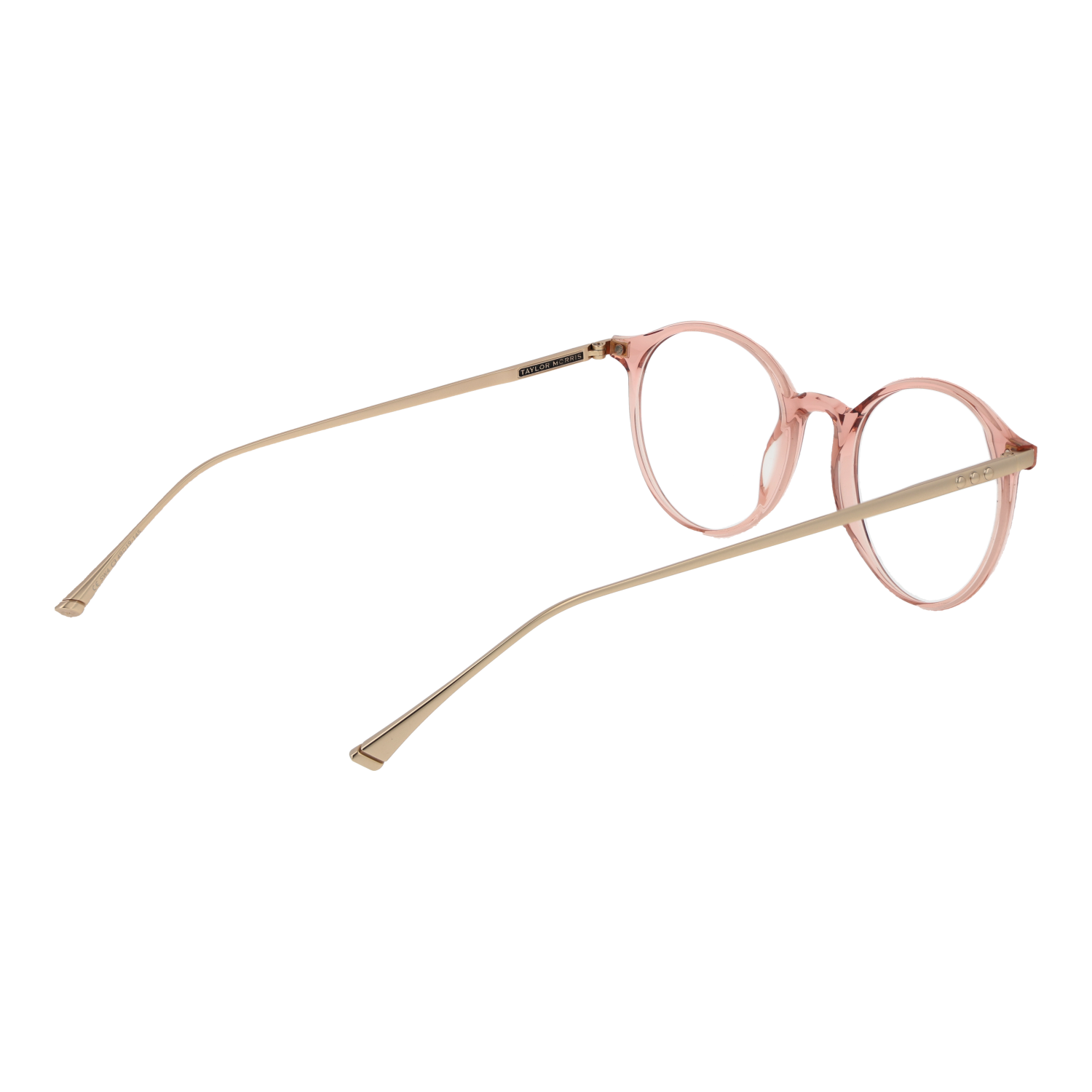 Taylor Morris Optical Frame SW4 C3 49