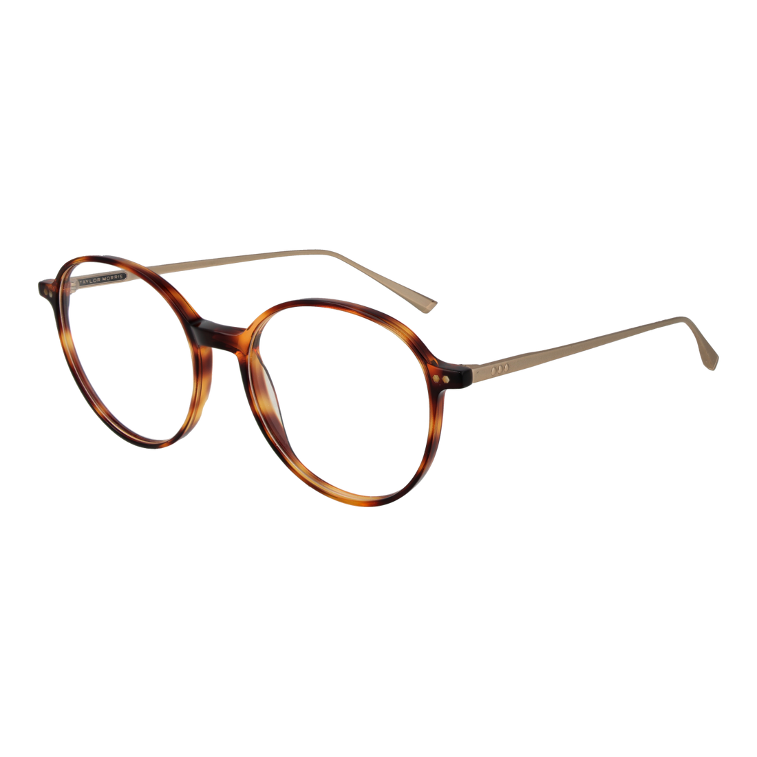 Taylor Morris Optical Frame SW15 C2
