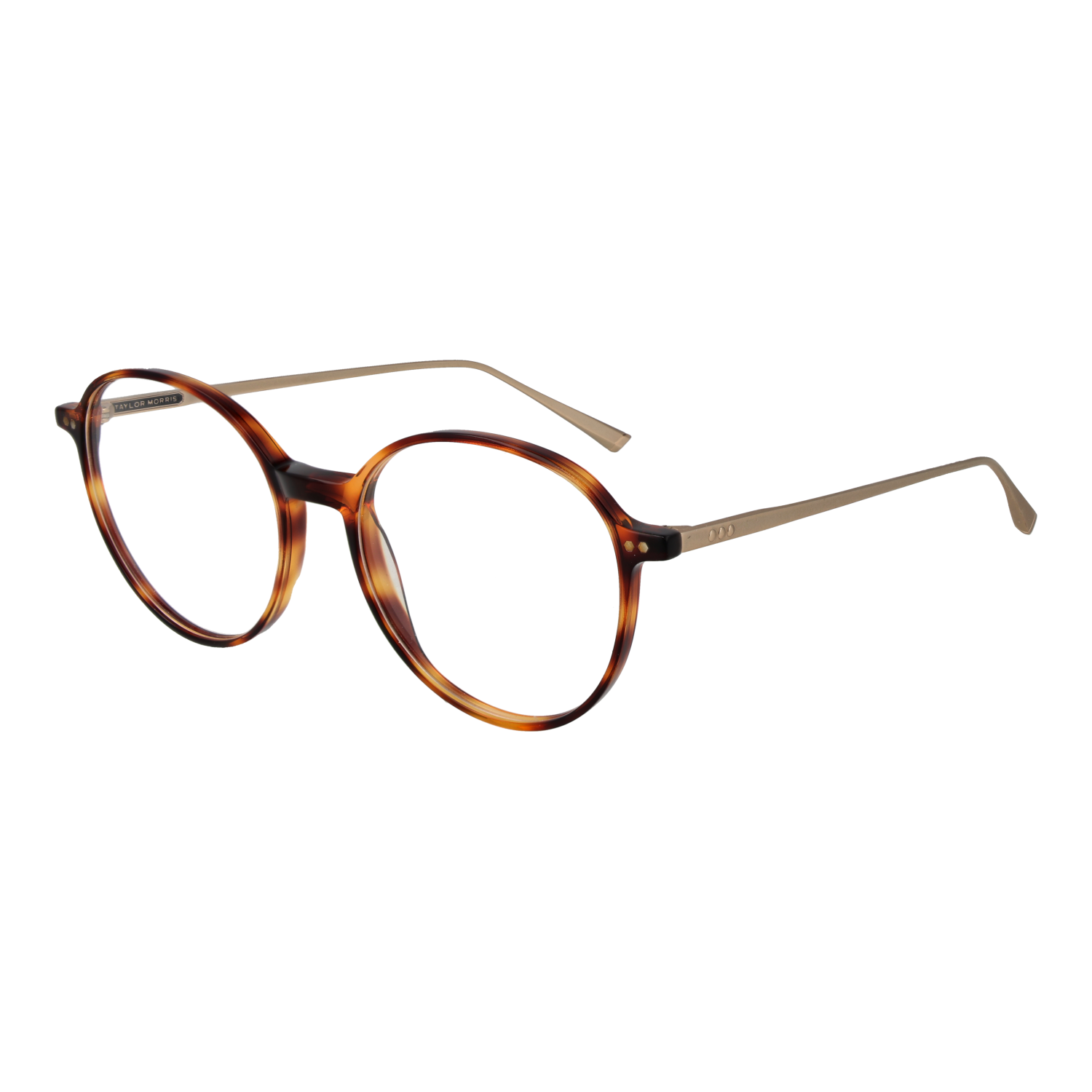 Taylor Morris Optical Frame SW15 C2