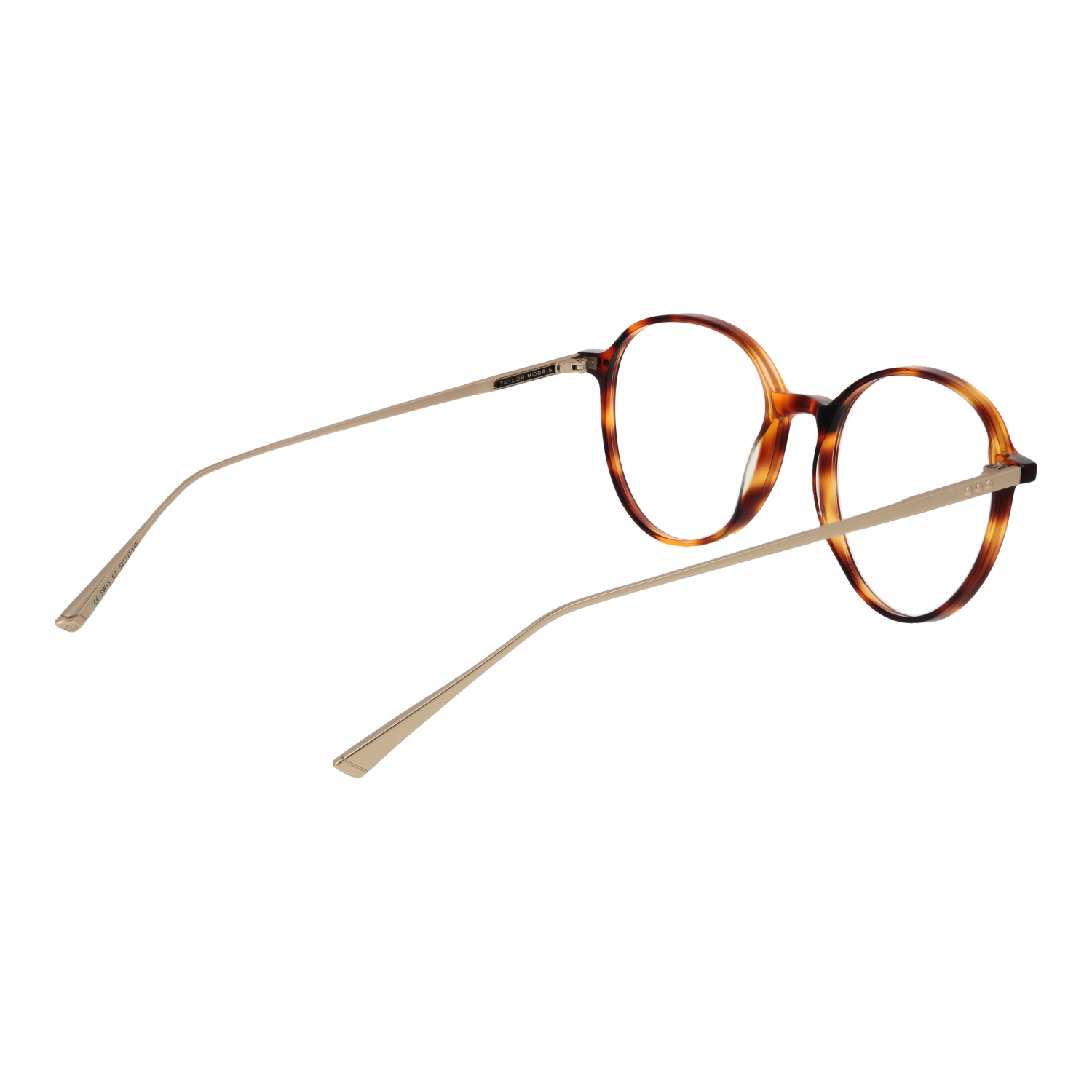 Taylor Morris Optical Frame SW15 C2