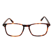 Taylor Morris Optical Frame SW16 C2 52