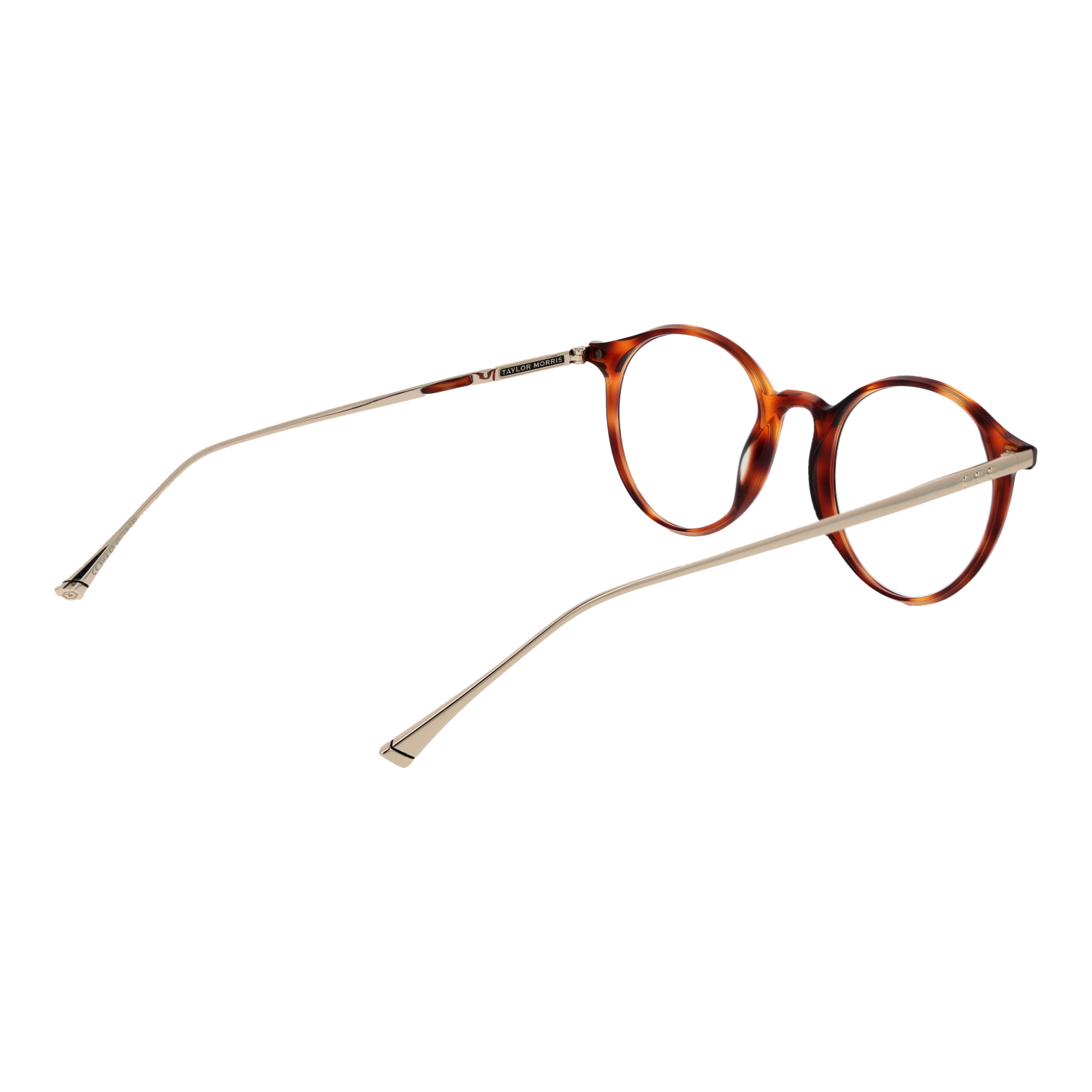 Taylor Morris Optical Frame SW4 C5 49