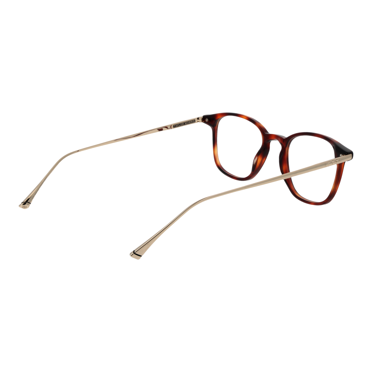 Taylor Morris Optical Frame W9 C2 48