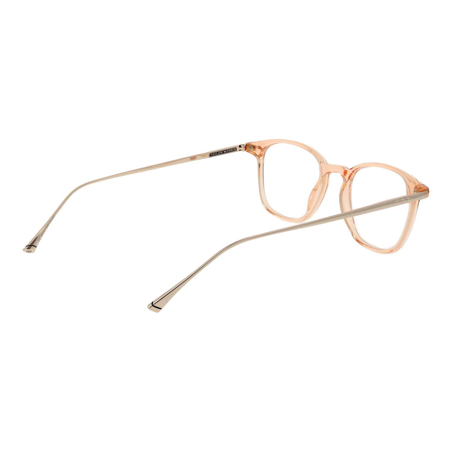 Taylor Morris Optical Frame W9 C5 48