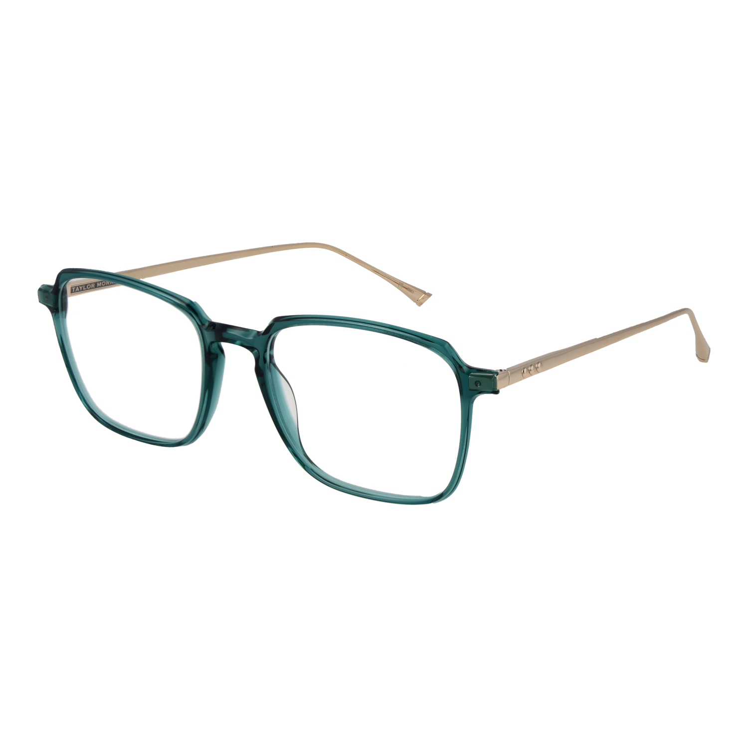 Taylor Morris Optical Frame SW3 C6 53