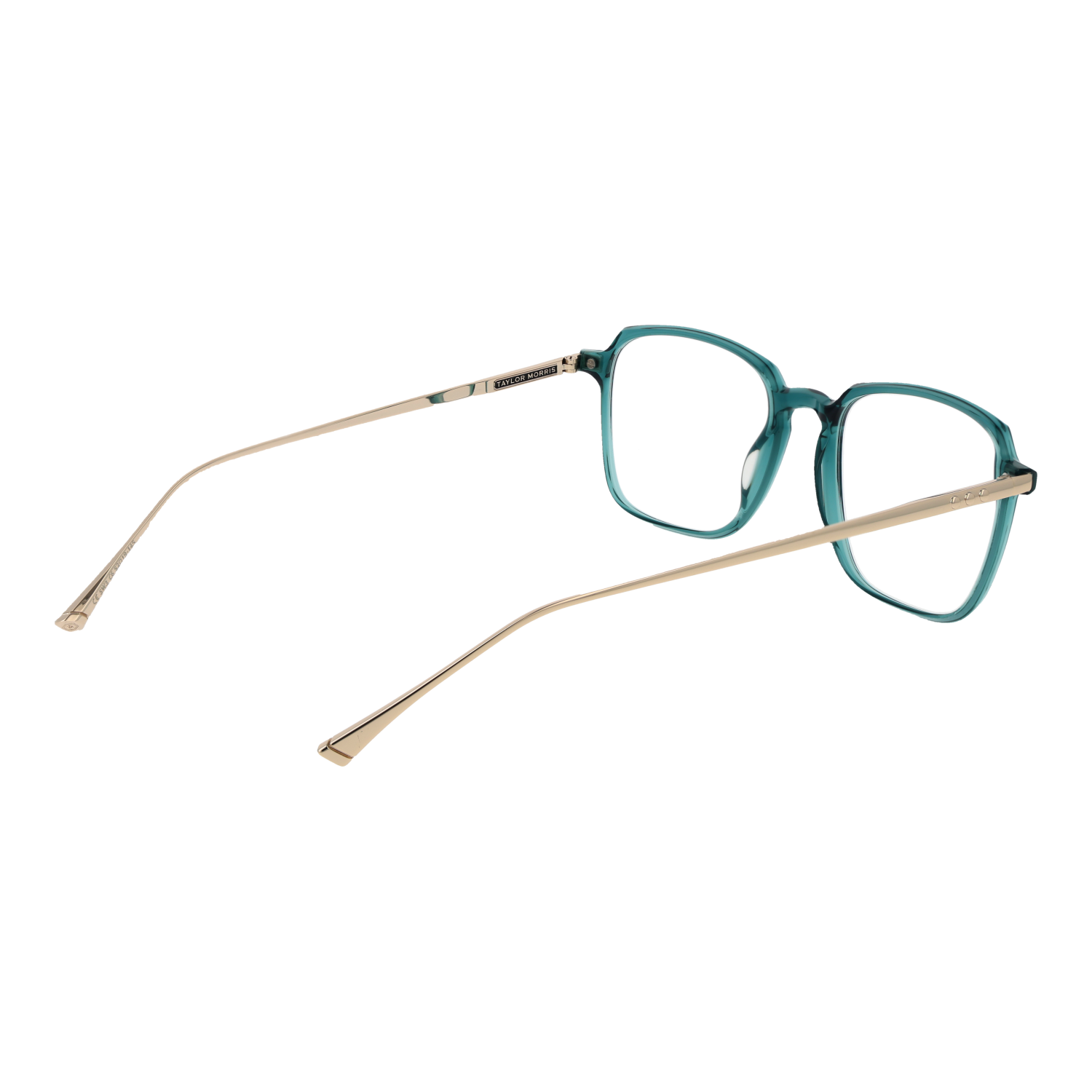 Taylor Morris Optical Frame SW3 C6 53