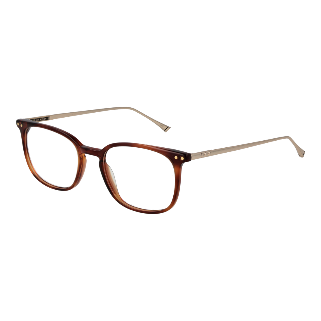 Taylor Morris Optical Frame TM06 C2 49