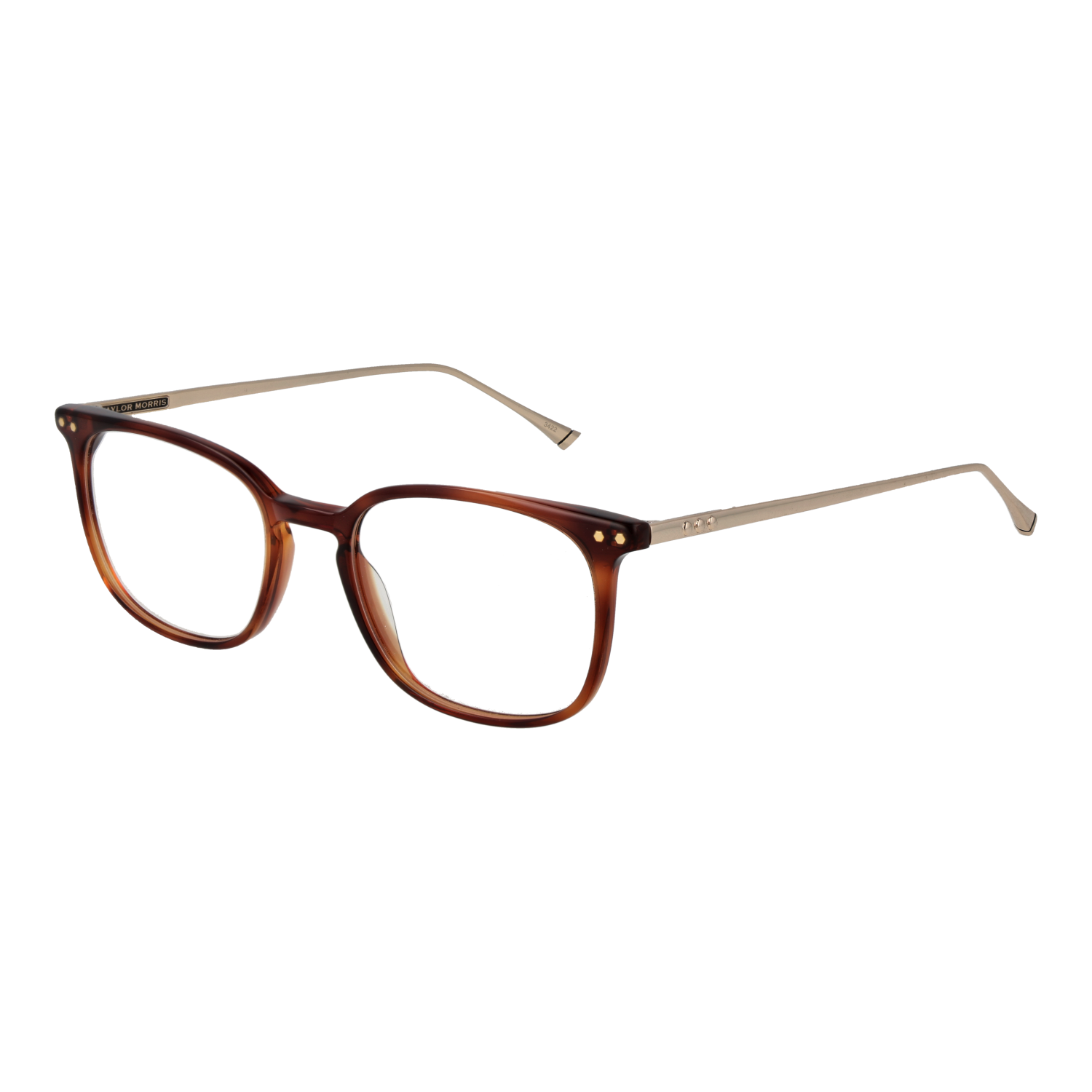 Taylor Morris Optical Frame TM06 C2 49